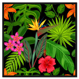 Gerahmter Kunstdruck Strelitzia