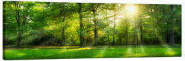 Stampa su tela  Panorama di una foresta d&#039;estate con raggi di sole - Jan Christopher Becke