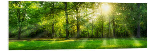 PVC-taulu Forest panorama in summer