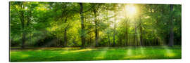 Gallery Print Wald Panorama mit Sonnenstrahlen im Sommer