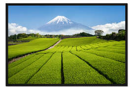 Gerahmter Kunstdruck Teefeld in Japan mit Berg Fuji