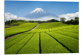 Gallery print Tea field in Japan with Mount Fuji