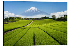 Magnettafel Teefeld in Japan mit Berg Fuji