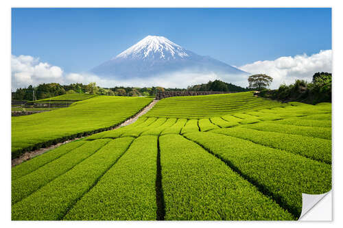 Självhäftande poster Tea field in Japan with Mount Fuji