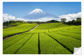 Wall sticker Tea field in Japan with Mount Fuji