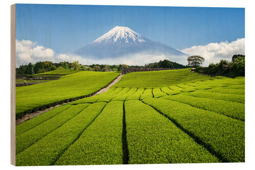 Wood print Tea field in Japan with Mount Fuji