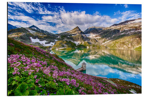 Aluminiumsbilde Summer at Weisssee Glacier - Austria