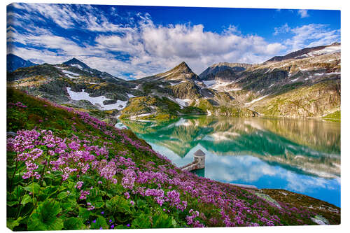 Canvas print Summer at Weisssee Glacier - Austria