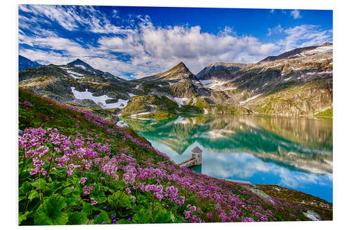 Foam board print Summer at Weisssee Glacier - Austria