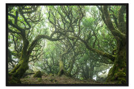 Gerahmter Kunstdruck Uralter Feenwald auf Madeira