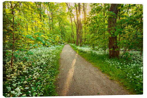 Canvastavla Wild Garlic Forest