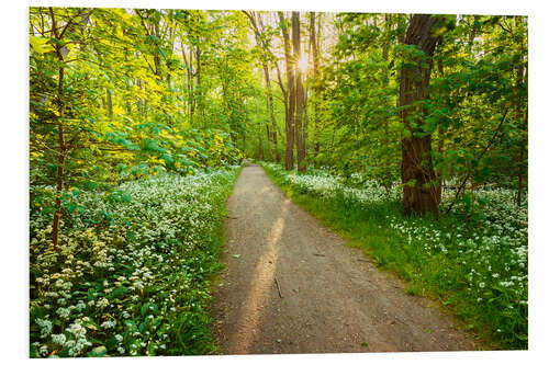 Foam board print Wild Garlic Forest