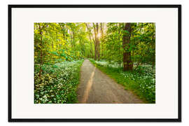 Gerahmter Kunstdruck Bärlauch Pfad