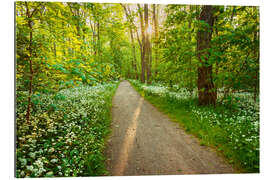 Gallery print Wild Garlic Forest