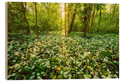 Wood print Spring forest