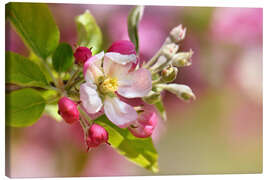 Canvastavla Spring blossom with green leaves