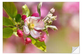 Vinilo para la pared Spring blossom with green leaves