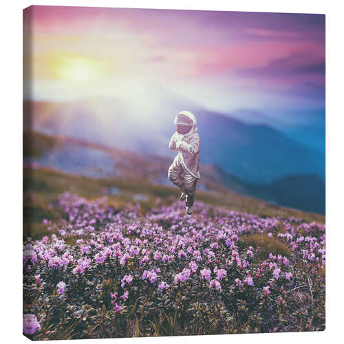 Canvas print Astronaut's Dream