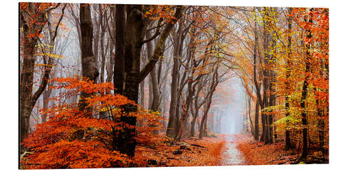 Tableau en aluminium Dans la forêt de Neldoreth