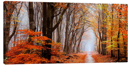 Tableau sur toile Dans la forêt de Neldoreth