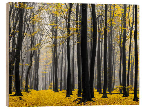 Wood print Golden Grove