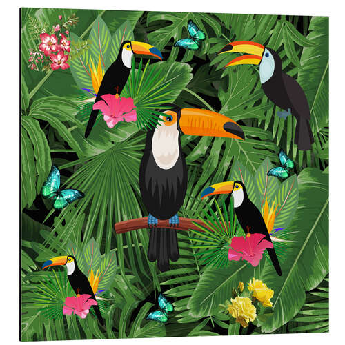 Alubild Toucan