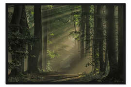 Gerahmter Kunstdruck Mysteriöser Weg