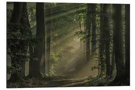 Magnettafel Mysteriöser Weg