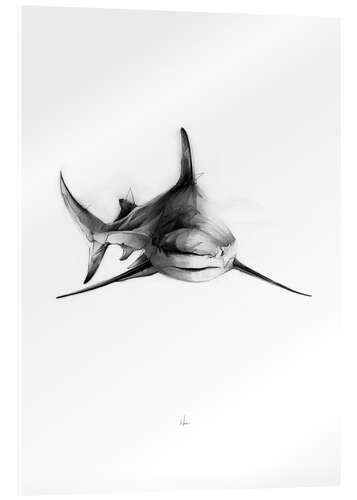 Acrylic print SharkIII