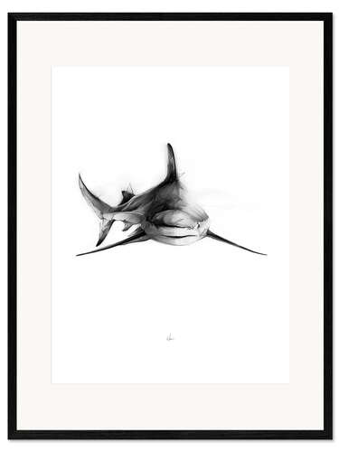 Impression artistique encadrée Requin III