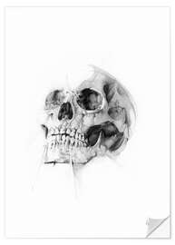 Selvklebende plakat Skull