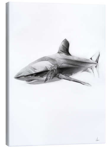 Canvas print Shark I