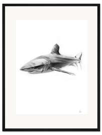 Gerahmter Kunstdruck Shark I