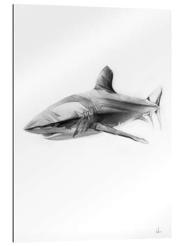 Gallery print Shark I