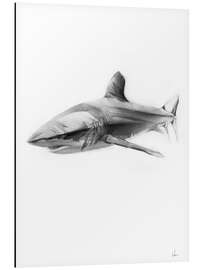 Magnettafel Shark I