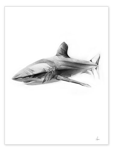 Póster Shark I