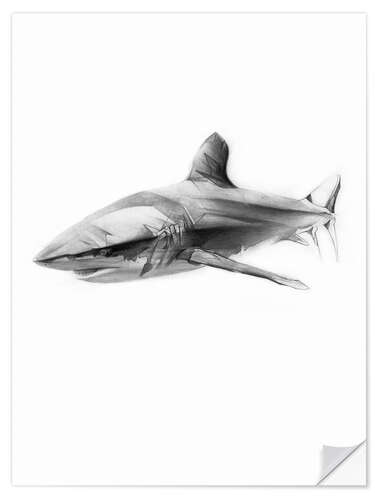 Wall sticker Shark I