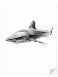 Vinilo para la pared Shark I