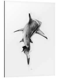 Magnettafel Shark II