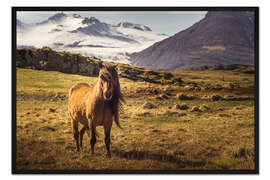 Gerahmter Kunstdruck Islandpferd | Island | Pferd
