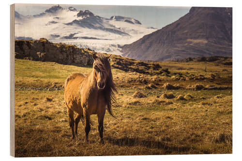 Holzbild Islandpferd | Island | Pferd