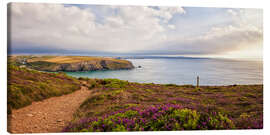 Quadro em tela Coast path