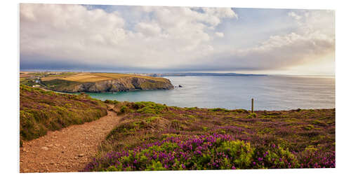 Print på skumplade Coast path