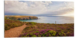 Gallery print Coast path