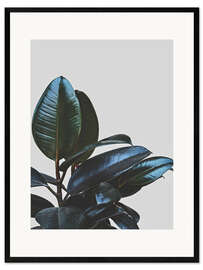 Ingelijste kunstdruk Lonely rubber tree