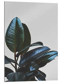 Gallery print Lonely rubber tree