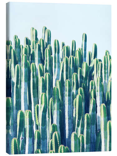 Canvas print Cactus