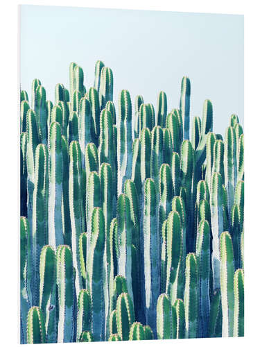 Foam board print Cactus