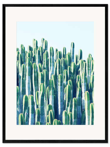 Gerahmter Kunstdruck Cactus