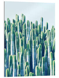 Gallery print Cactus